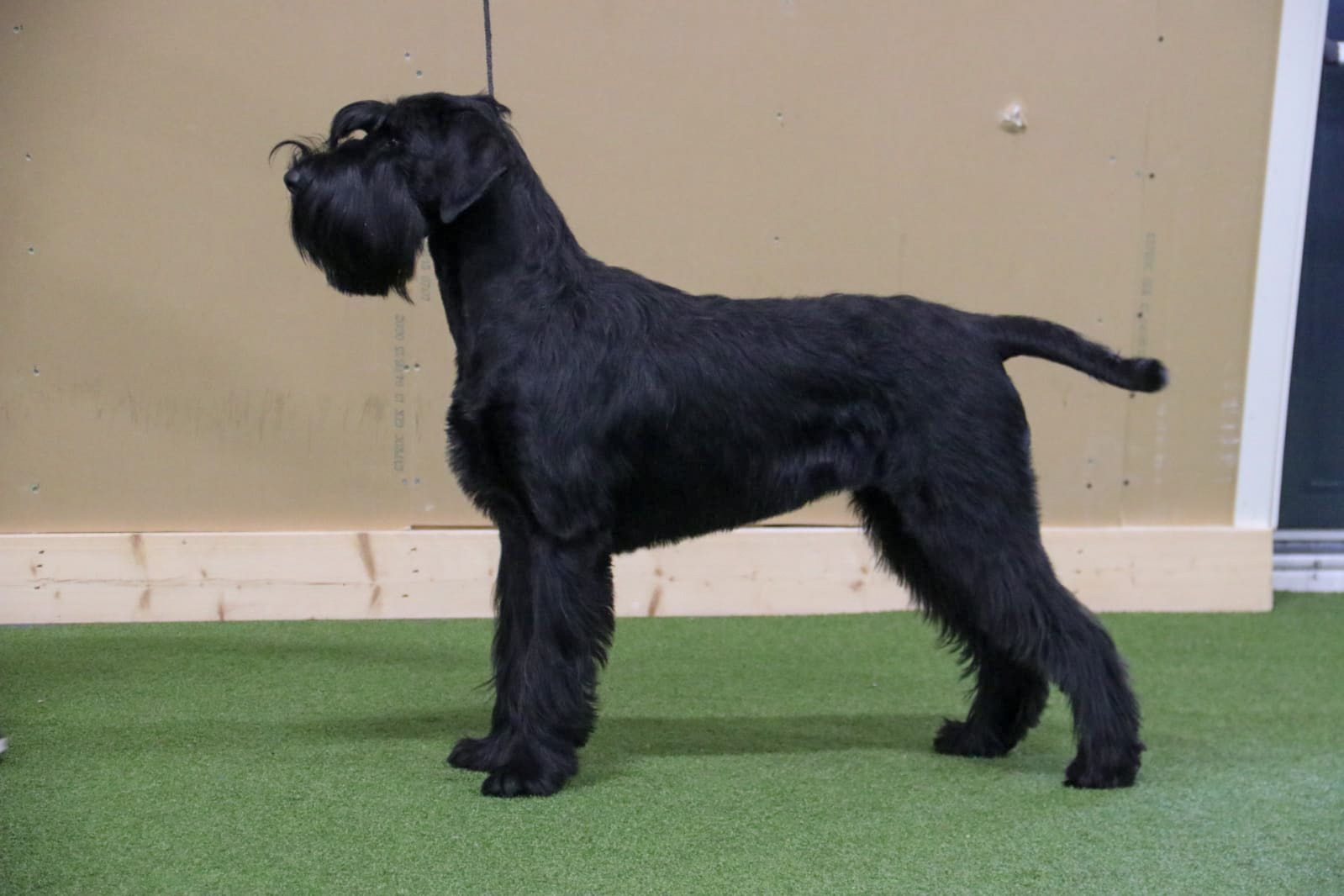 A6B338B2-F4E1-4040-A614-4CAB5C8BA2DE